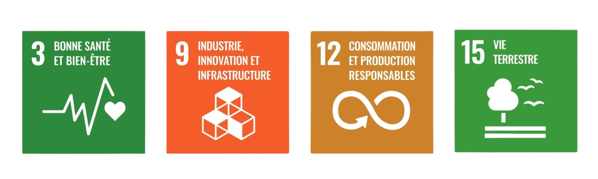 Les 4 Objectifs de développement durables prioritaires pour RCI (3.Bonne santé et bien être ; 9. Industrie, innovation et infrastructure ; 12. Consommation et production responsables ; 15. Vie terrestre